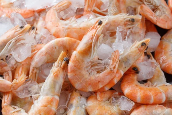 Shrimp