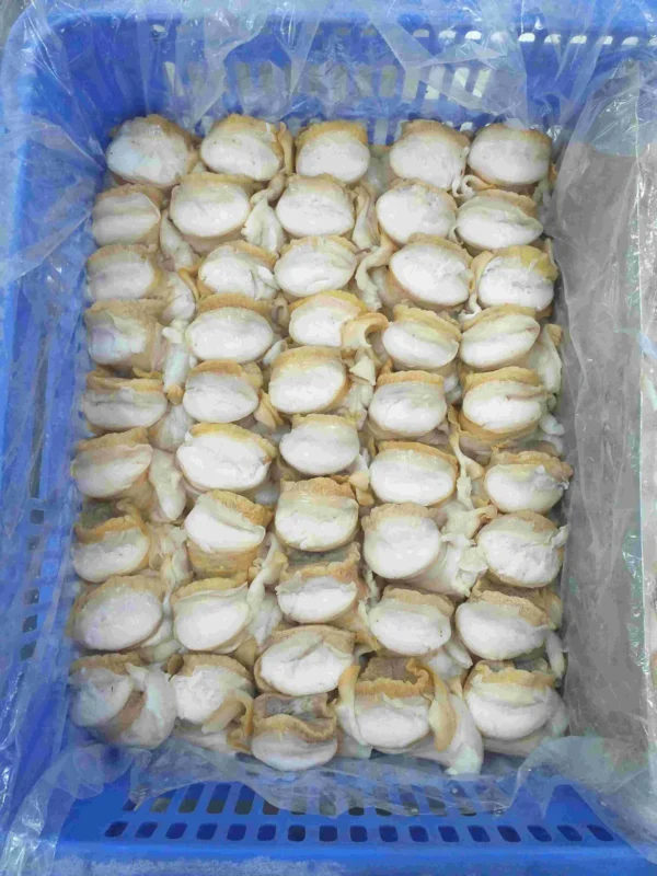 Conch meat