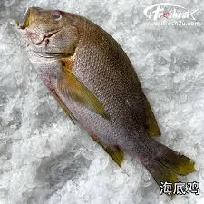 Blubberlip Snapper Fish