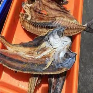 Mahi Mahi