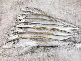 Ribbon Fish