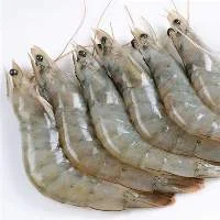 Wanami Prawns