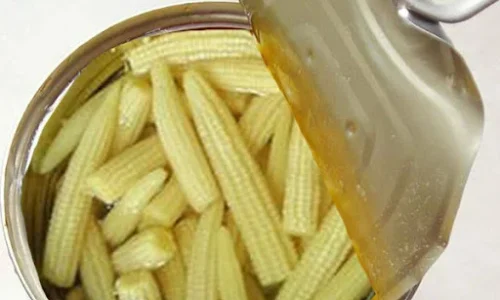 canned-baby-corn.webp