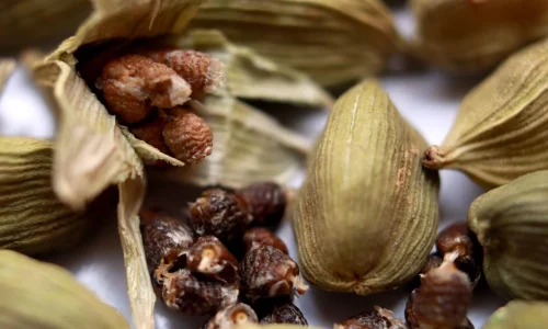 cardamom.webp