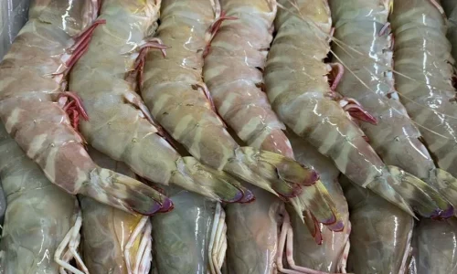 flowery-prawns.webp