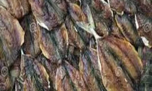 indian-2.webp